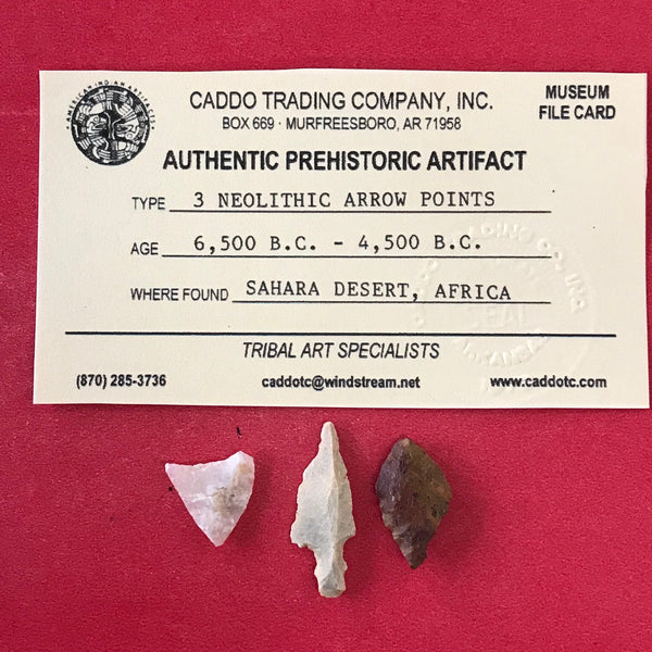 6504 Lot of 3 Neolithic Arrow Points Arrowhead Africa Sahara Desert Native Archaic Authentic Relic Artifact FREE SHIP