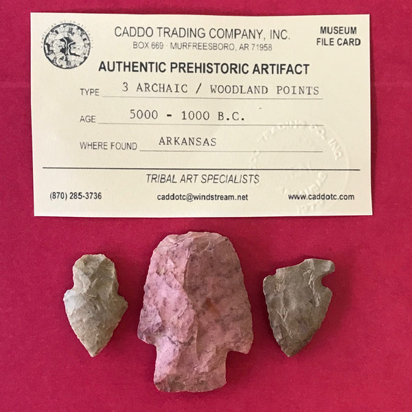 6648 Lot of 3 Archaic Arrowheads Native American Indian Relic Artifact Arkansas Authentic Prehistoric FREE SHIP