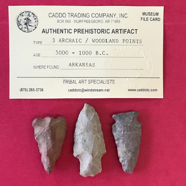 6649 Lot of 3 Arrowheads Archaic Native American Relic Arkansas Indian Prehistoric Authentic FREE SHIP