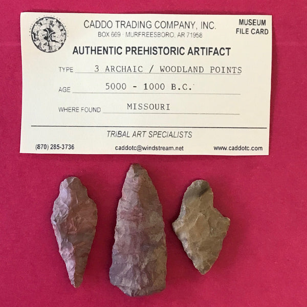 6650 Lot of 3 Arrowheads Archaic Native American Indian Missouri Relic Artifact Prehistoric Authentic FREE SHIP