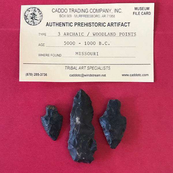 6651 Lot of 3 Arrowheads Native American Indian Archaic Relic Artifact Prehistoric Authentic FREE SHIP