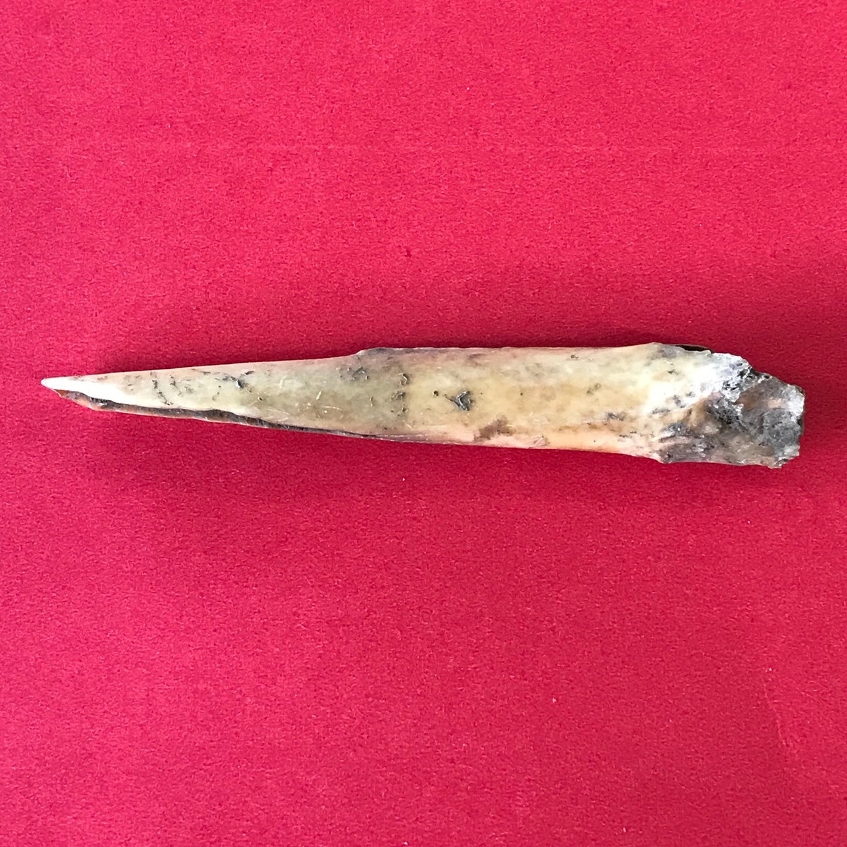 5536 Deer Bone Awl Point Arrowhead Native American Ohio Relic Feurt Ar