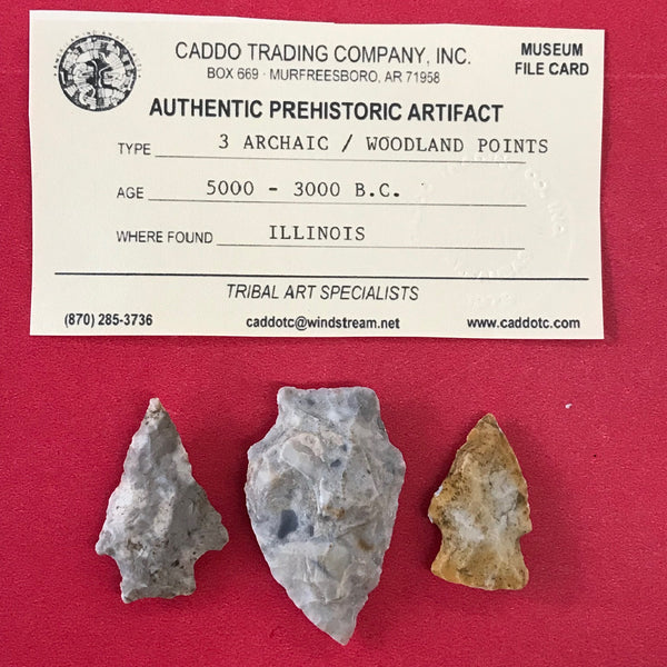 6231 Lot of 3 Arrowheads Native American Relic Artifact Illinois Archaic Woodland Indian Stone FREE SHIP