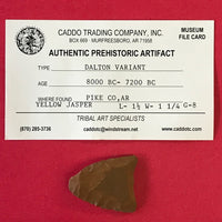 Authentic Dalton Variant Point Arrowhead Arkansas Native American Relic Artifact Real Jasper 5485* FREE SHIP