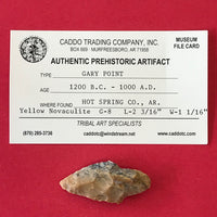 5752 Gary Point Arrowhead Native American Arkansas Relic Novaculite Artifact Yellow Indian FREE SHIP