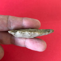 5590* Dunn Drill Arrowhead Native American Relic Arkansas Indian Artifact Quartzite Authentic Prehistoric FREE SHIP