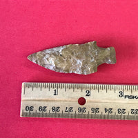 5591* Steuben Point Arrowhead Native American Relic Arkansas Indian Artifact Chert Authentic Prehistoric FREE SHIP