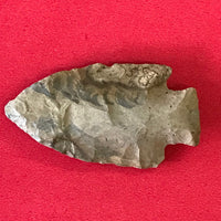 5592* Delhi Point Arrowhead Native American Relic Texas Indian Artifact Chert Authentic Prehistoric FREE SHIP