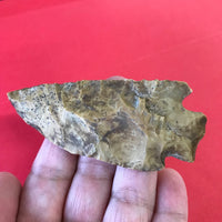 5595* Pickwick Point Arrowhead Native American Rellic Tennessee Indian Artifact Chert Authentic Prehistoric FREE SHIP