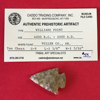 5598* Williams Point Arrowhead Native American Relic Arkansas Indian Artifact Chert Authentic Prehistoric FREE SHIP