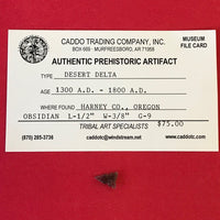 5615* Desert Delta Point Arrowhead Oregon Artifact Black Obsidian Relic Authentic FREE SHIP