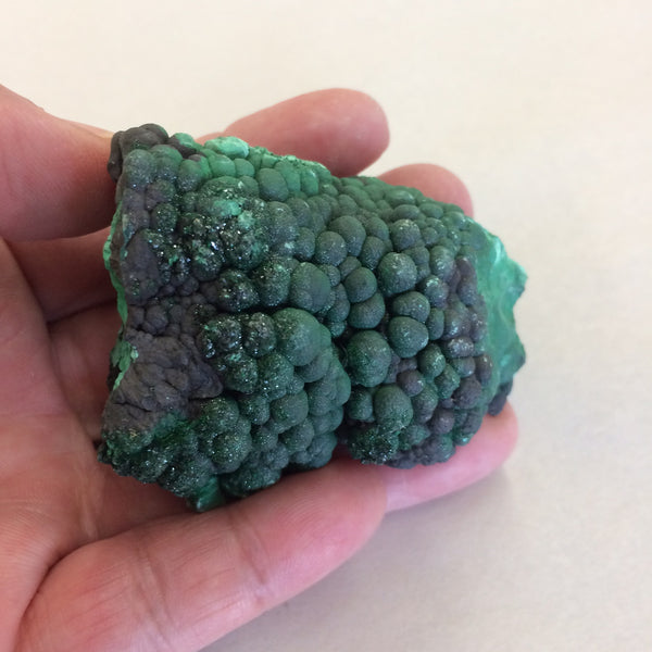Botryoidal Malachite Druzy Green Crystals Black 2.5" 178 Grams Sparkly Mineral Specimen Copper Display Congo FREE SHIP