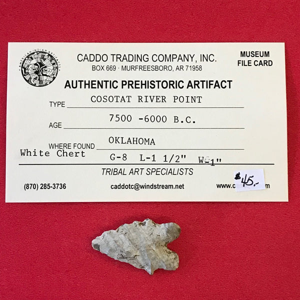5661* Cosotat River Point Arrowhead Native American Oklahoma Relic Artifact Chert Prehistoric Ancient Indian FREE SHIP
