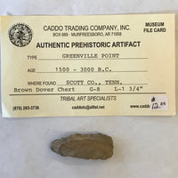 5441* Greenville Point Real Arrowhead Native American Relic Tennessee Indian Artifact Chert Authentic FREE SHIP