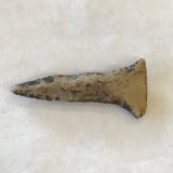 Authentic Pin Drill Real Arrowhead Native American Indian Relic Texas Artifact Ancient Novaculite 5453* FREE SHIP