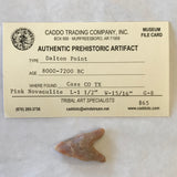 Authentic Dalton Point Real Arrowhead Native American Indian Relic Texas Artifact Pink Novaculite Ancient *5454 FREE SHIP