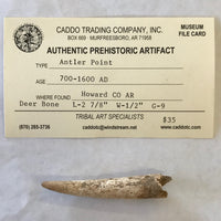Ancient Antler Point Real Arrowhead Native American Indian Relic Arkansas Artifact Bone Ancient 5455 FREE SHIP