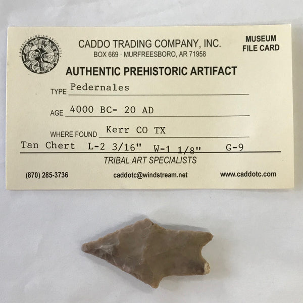 Pedernales Point Arrowhead Native American Texas Relic Artifact Indian Ancient Prehistoric Real *5459 FREE SHIP