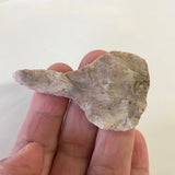 Paddle Drill Point Arrowhead Authentic Native American Indian Texas Relic Artifact Ancient Prehistoric Real *5461 FREE SHIP