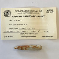 Ancient Pin Drill Arrowhead Native American Artifact Indian Relic Arkansas Chert Prehistoric Real 5474* FREE SHIP