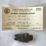 Authentic Kent Blunt Point Arrowhead Arkansas Chert Real Native American Prehistoric Relic Artifact 5484* FREE SHIP