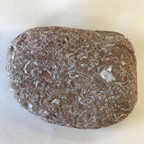 Coquina Jasper Rock Specimen Script Stone Elephant Skin Display Mineral 4" Brown White FREE SHIPPING