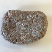 Coquina Jasper Rock Specimen Script Stone Elephant Skin Display Mineral 4" Brown White FREE SHIPPING