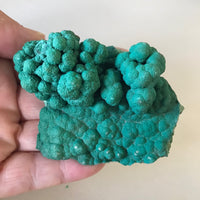 Malachite Green Turquoise Botryoidal 3" 114 Grams Mineral Display Specimen Congo FREE SHIPPING