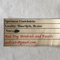Conichalcite Mineral Specimen Mina Ojela Mexico Green Crystals Matrix 2" 42 Grams FREE SHIP