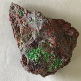 Conichalcite Mineral Specimen Mina Ojela Mexico Green Crystals Matrix 2" 42 Grams FREE SHIP