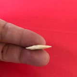 5506* Rose Springs Corner Notched Point Arrowhead Authentic Native American Oregon Relic Indian Artifact Prehistoric FREE SHIP