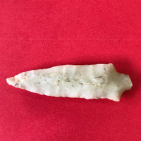 5508* Gary Point Arrowhead Authentic Native American Arkansas Relic Indian Artifact Prehistoric FREE SHIP