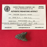5511* Dalton Classic Point Arrowhead Authentic Native American Arkansas Relic Indian Artifact Prehistoric FREE SHIP