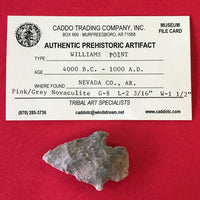 5530* Williams Point Arrowhead Native American Arkansas Relic Indian Artifact Novaculite Prehistoric FREE SHIP