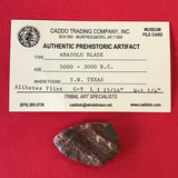 5531* Abasolo Blade Point Arrowhead Native American Texas Relic Authentic Artifact Flint Indian Prehistoric FREE SHIP