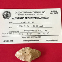 5535* Gary Point Arrowhead Native American Arkansas Rellic Chert Indian Artifact Authentic Prehistoric FREE SHIP
