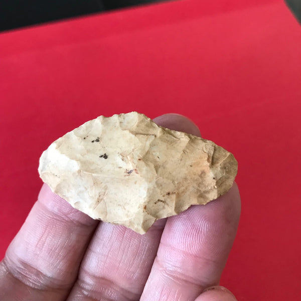 5535* Gary Point Arrowhead Native American Arkansas Rellic Chert Indian Artifact Authentic Prehistoric FREE SHIP