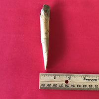 5536 Deer Bone Awl Point Arrowhead Native American Ohio Relic Feurt Artifact Authentic Ancient FREE SHIP