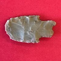 5560* Pedernales Blunt Native American Arrowhead Texas Indian Artifact Chert Relic Authentic FREE SHIP
