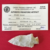 5571* Etley Point Arrowhead Native American Relic Indian Artifact Missouri Chert Authentic FREE SHIP